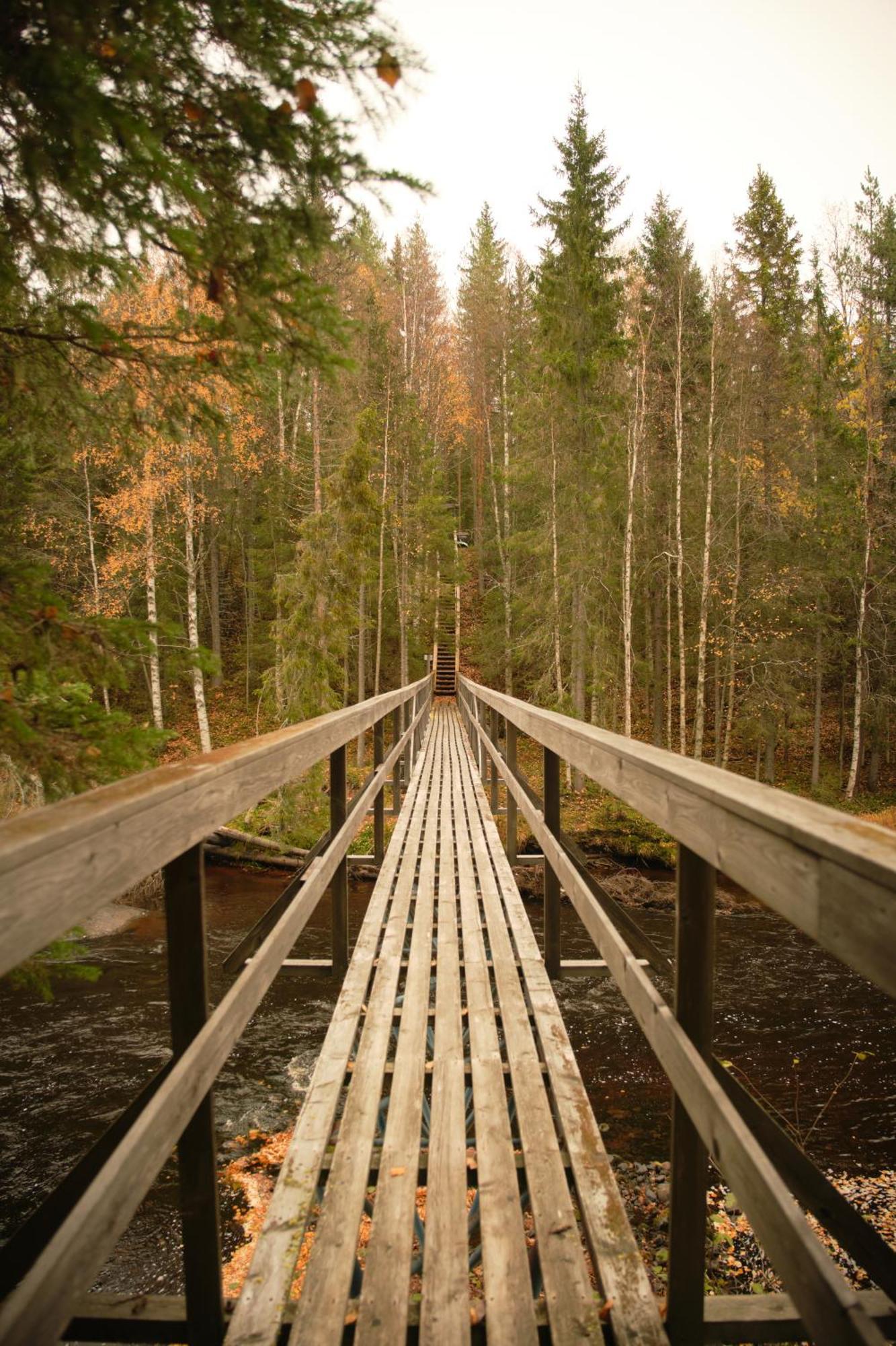 Langforsen Glamping & Lapland Experience Hotel Lapptrask Buitenkant foto