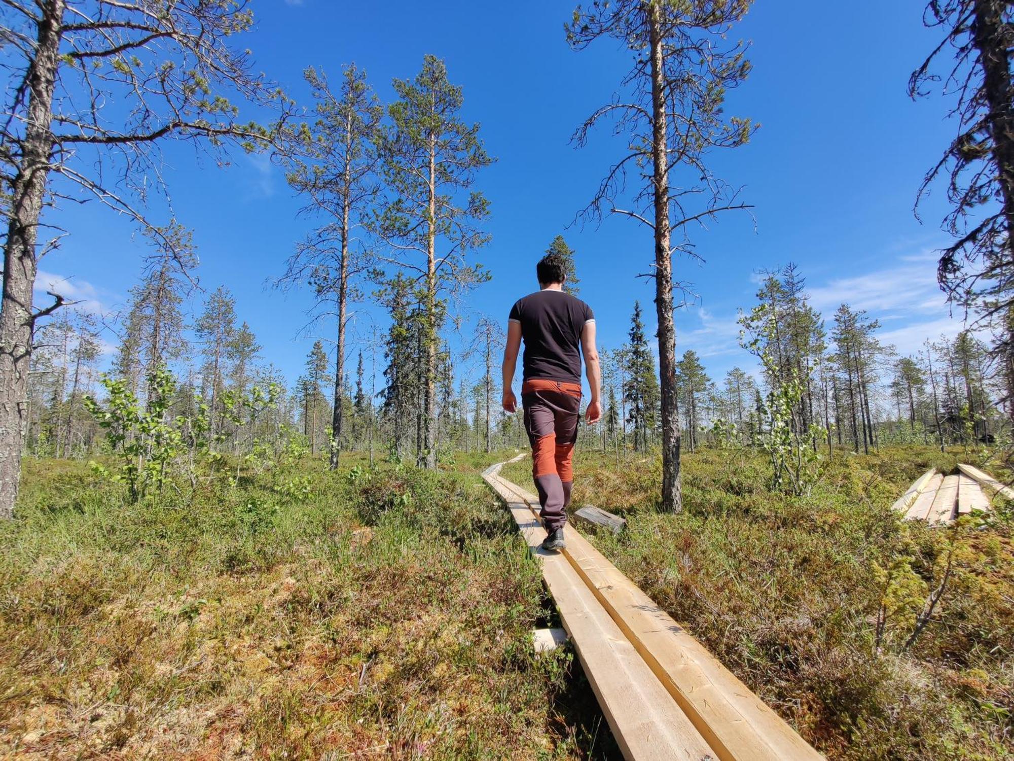 Langforsen Glamping & Lapland Experience Hotel Lapptrask Buitenkant foto