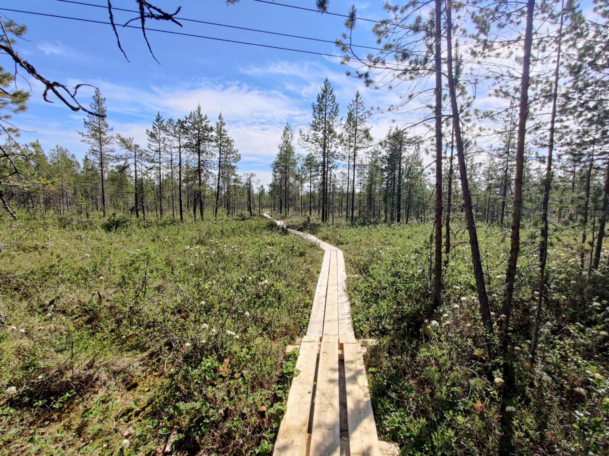Langforsen Glamping & Lapland Experience Hotel Lapptrask Buitenkant foto